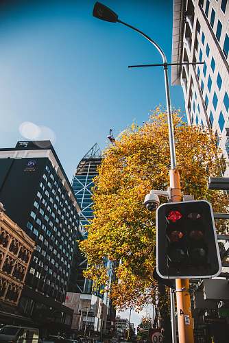 traffic light urban photo of a black building city